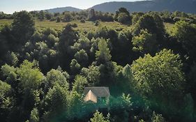 Cabanes Du Herisson, Cabanes Perchees De Standing Avec Spa